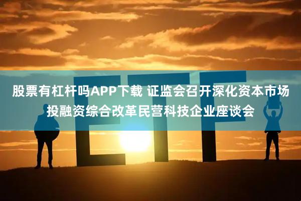 股票有杠杆吗APP下载 证监会召开深化资本市场投融资综合改革民营科技企业座谈会