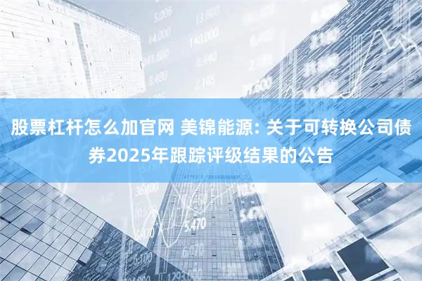 股票杠杆怎么加官网 美锦能源: 关于可转换公司债券2025年跟踪评级结果的公告
