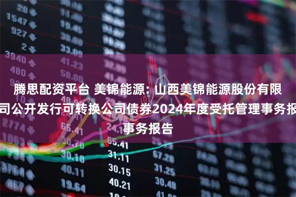 腾思配资平台 美锦能源: 山西美锦能源股份有限公司公开发行可转换公司债券2024年度受托管理事务报告