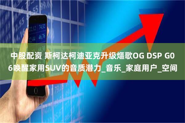 中股配资 斯柯达柯迪亚克升级熰歌OG DSP G06唤醒家用SUV的音质潜力_音乐_家庭用户_空间